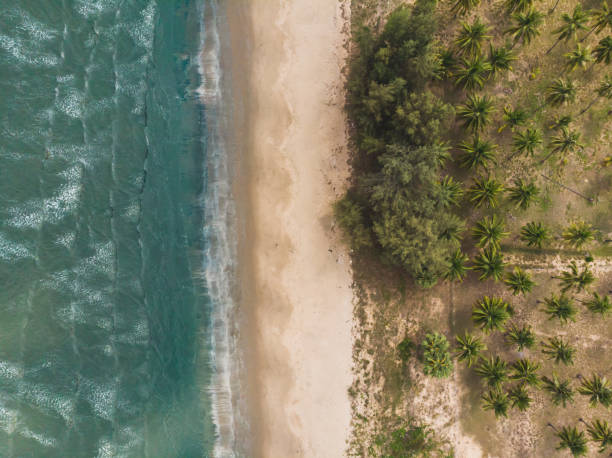 istock Drone Shot of a Coast Line in Thailand 1009637532