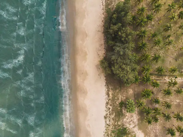 Beach with palm trees close to a national Park in Thailand, shot with a drone in eagle perspective