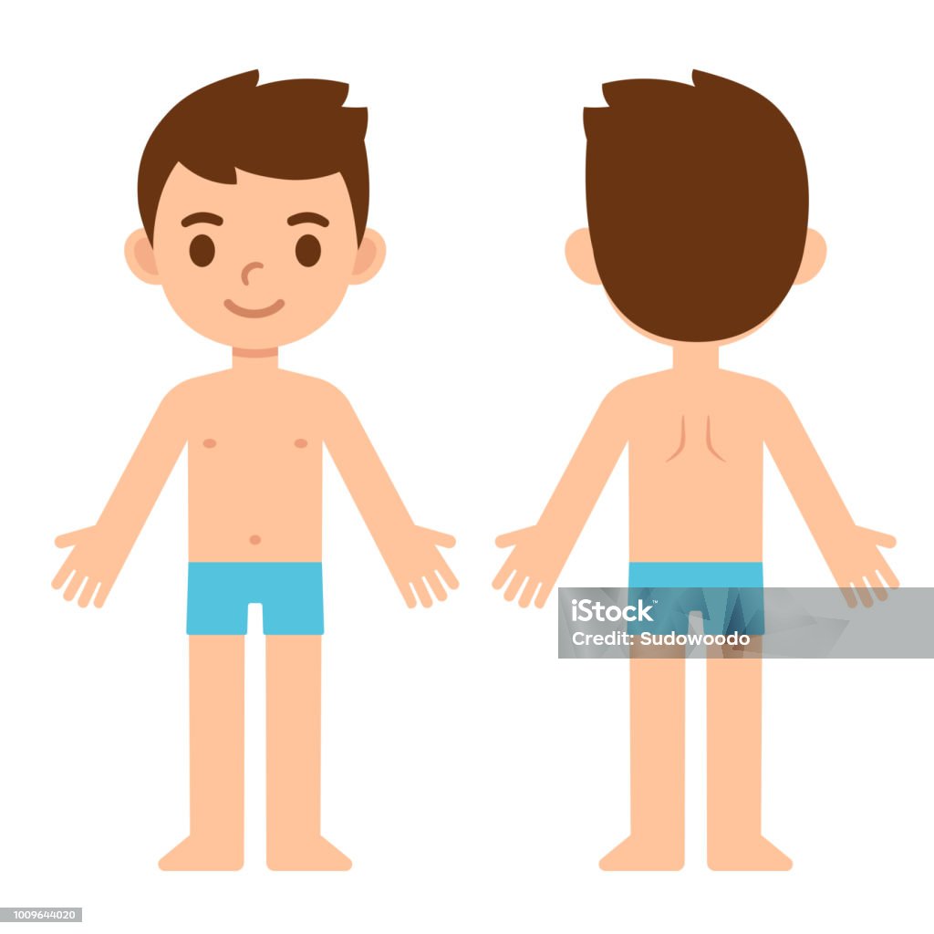 Cartoon boy front and back Cartoon boy in underwear, front and back, body part anatomy template. Isolated vector illustration. The Human Body stock vector