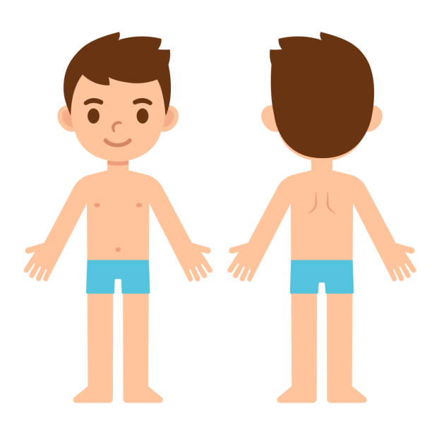 90+ Infographic Of Boy And Body Diagram Illustrations, Royalty-Free Vector  Graphics & Clip Art - Istock
