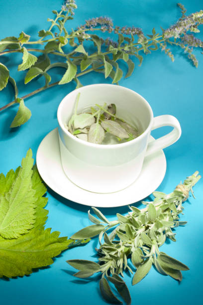 istock Sage tea with fresh herbs on turquoise background. 1009646932