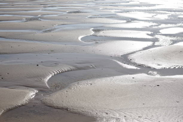 istock Sandy beach with water, summer in Netherlands 1009658846