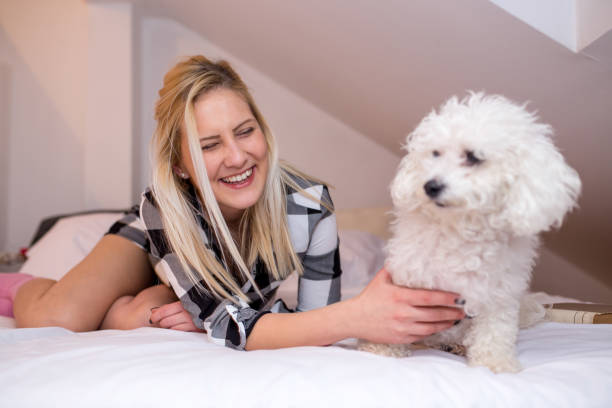 istock Morning. Lovely girl in bed 1009659936