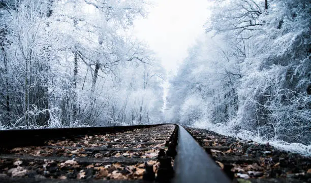 old tracks leading through a frozen forest, taken in Bavaria