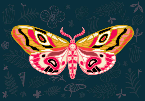 istock Night tropical moths hawkmoth on floral background, butterfly vector insect, vintage style, wings, flowers, skull, leaves. 1009661680