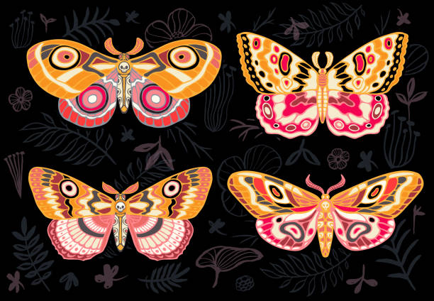 istock Collection of colorful butterflies, night tropical moths hawkmoth on floral background, vector insect set 1009662170