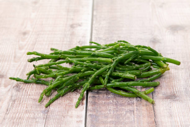 Samphire or glasswort Samphire on a wooden surface salicornia stock pictures, royalty-free photos & images