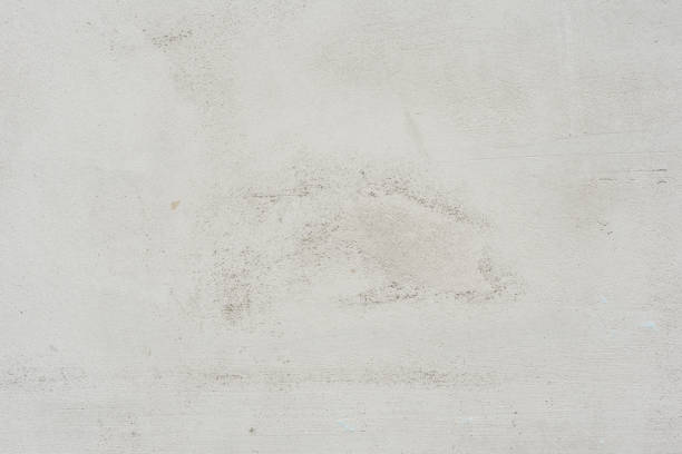 istock Wall fragment with attritions and cracks 1009667628