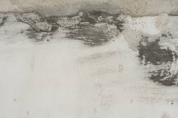 istock Wall fragment with attritions and cracks 1009667652