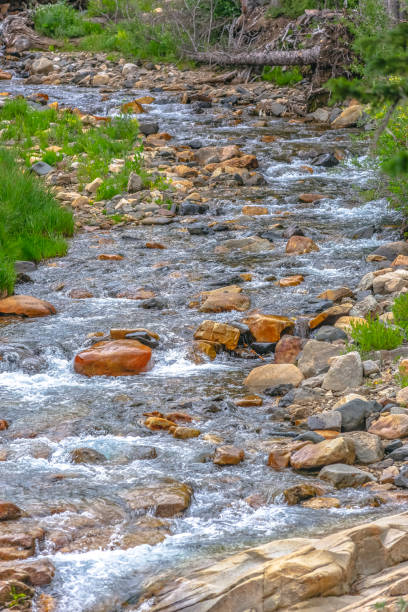 istock Colorful rocks seen in windy creek 1009669740