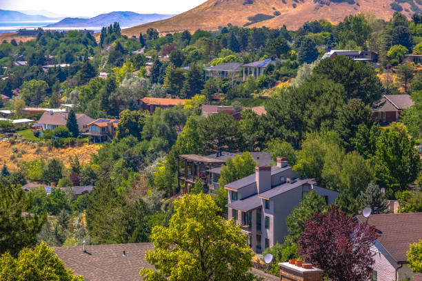 istock Homes in the hills and trees 1009671976