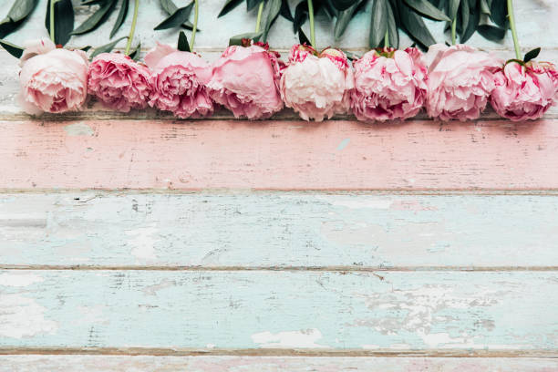istock Beautiful pink peony on vintage background. Top view, flat lay 1009679670