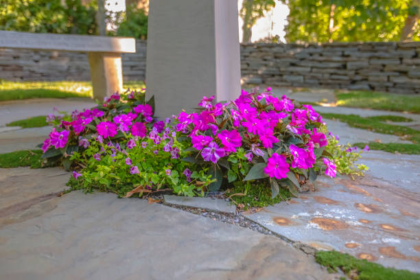 istock Purple flowers among garden decoration 1009688614
