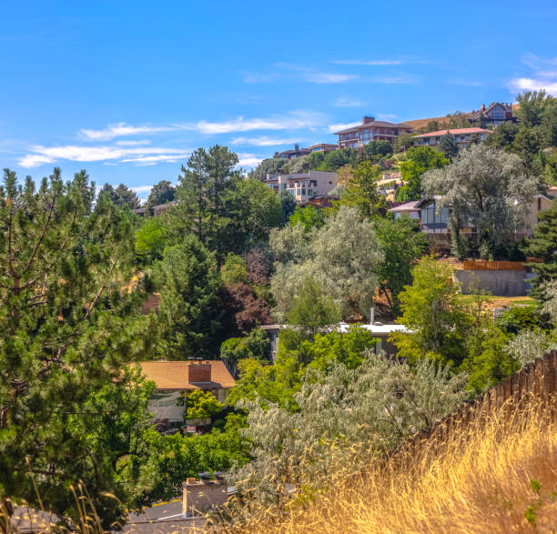 istock Salt Lake homes in the trees on hill 1009688766