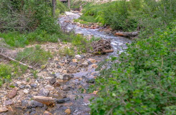 istock Spiral creek seen from horizontal orientation 1009688772