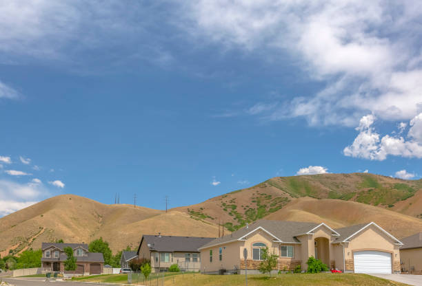 istock Suburban homes with hills behind and copy space 1009688842