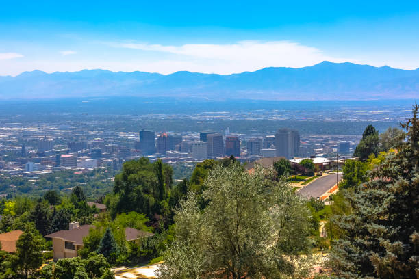 istock Trees and foliage with Salt Lake City behind 1009688914