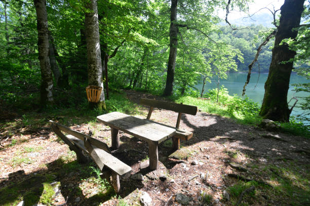 istock Resting in the forest, near the lake 1009691132