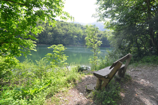 istock Resting in the forest, near the lake 1009691142