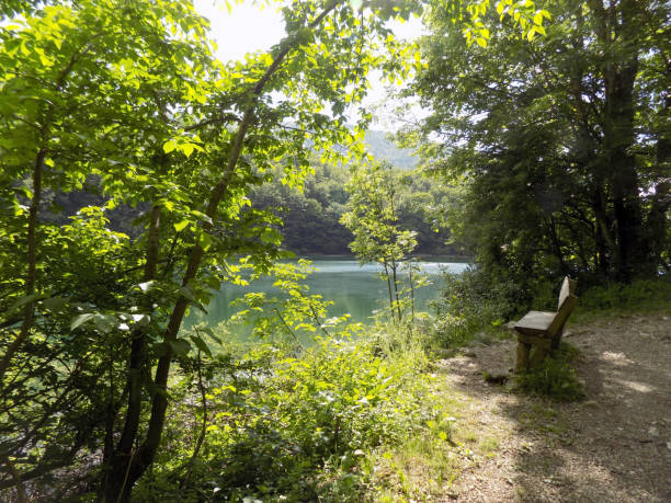 istock Resting in the forest, near the lake 1009691152