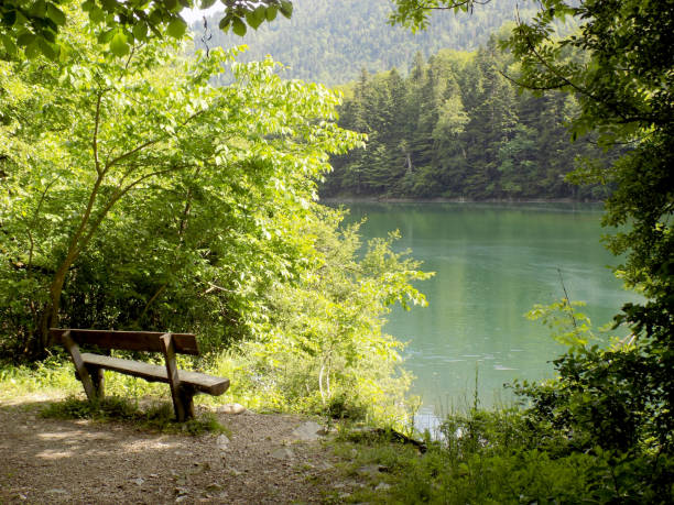 istock Resting in the forest, near the lake 1009691166