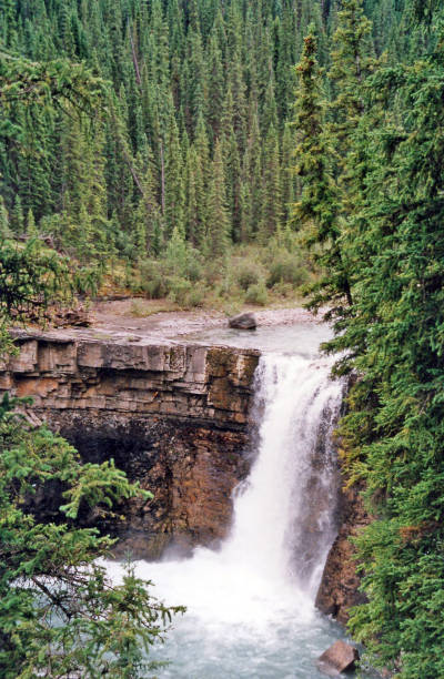 istock Waterfall on stream near Nordeg Alberta 1009691302