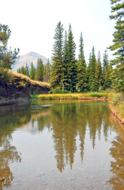 istock Autumn on headwaters of Crowsnest River, Alberta 1009691316