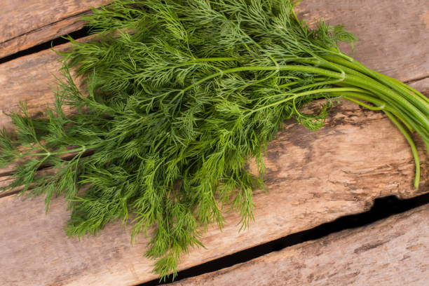 istock Fresh ripe green dill on wood. 1009691766