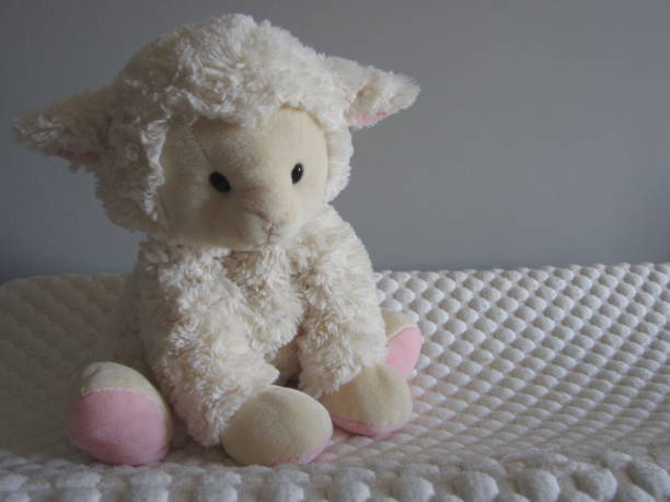 istock White and pink sheep plush toy 1009696594