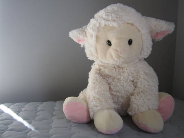 Knitted Sheep Toy Sleeping on Cozy Bed under Morning  Sunlight