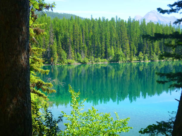 istock Sneak a peak at Kintla Lake 1009698332