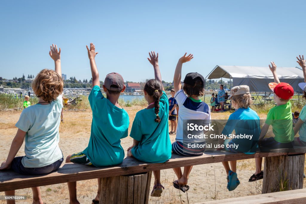 Students holding their hands up to volunter or ask questions of their teacher at an outdoor nature class. Everett Washington/USA 7/25/2018: Students holding their hands up to volunter or ask questions of their teacher at an outdoor nature class. Jetty Island Washington. Camping Stock Photo