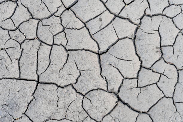 istock The soil cracked from the drought and the scorching sun. 1009723818