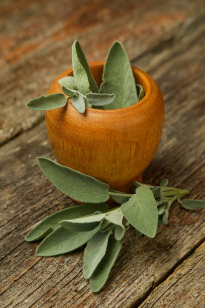 istock Common sage in wooden mortar 1009730482