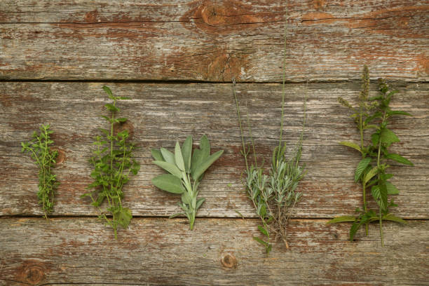 istock Fresh garden herbs on wooden table, top view 1009730598