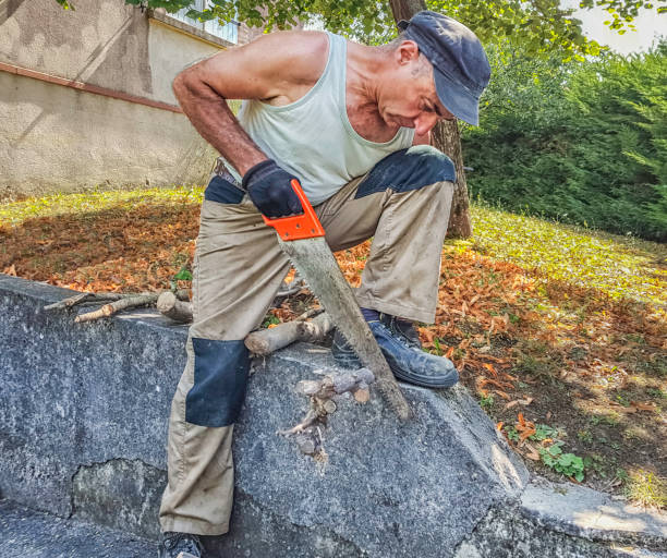 istock Sawing a peace of wood with a handsaw . 1009732940