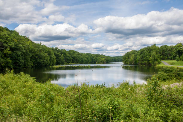West Hartford Reservoir in the summer stock photo