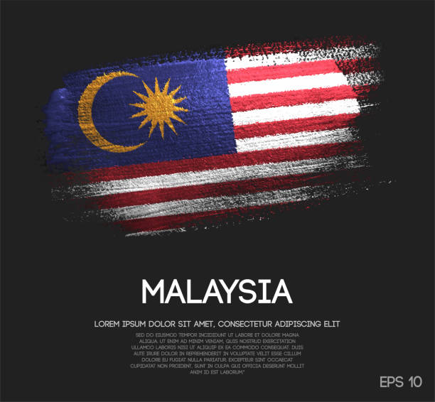 말레이시아 국기 글 리터 스파클 브러쉬 페인트 벡터의 - 말레이시아 국기 stock illustrations