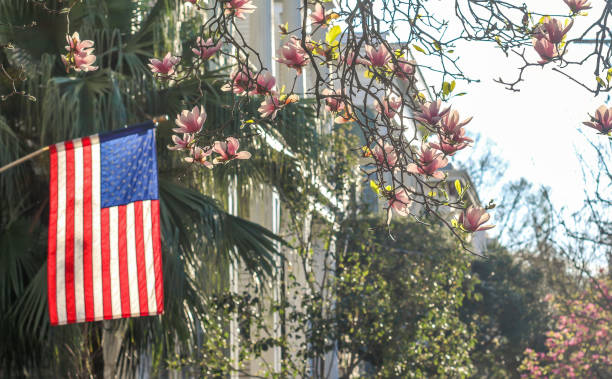 istock Southern Patriotism 1009742262