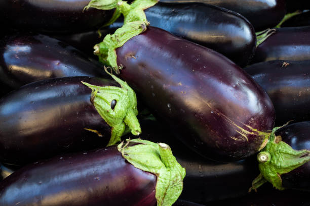 istock Eggplants at the Farmer's Market 1009743208