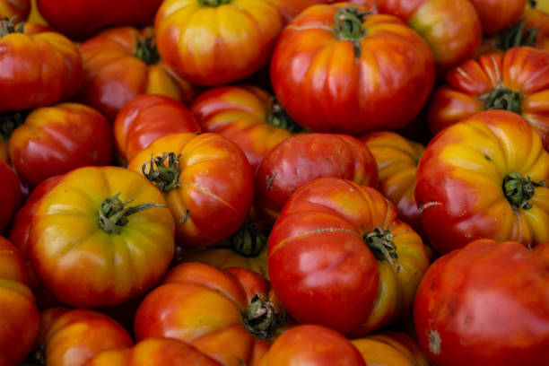 istock Red Tomatoes at the Farmer's Market 1009745284
