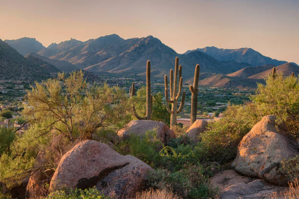 Pinnacle Peak Park as sun rises over cactus and hiking trails. Pinnacle Peak is a park in Scottsdale Arizona which has hiking trails and many desert plants in the hills of Arizona. phoenix arizona stock pictures, royalty-free photos & images