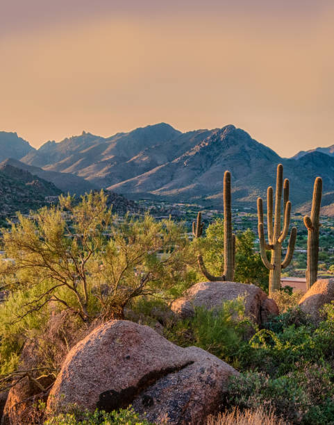Pinnacle Peak Park as sun rises over cactus and hiking trails. Pinnacle Peak is a park in Scottsdale Arizona which has hiking trails and many desert plants in the hills of Arizona. scottsdale arizona stock pictures, royalty-free photos & images