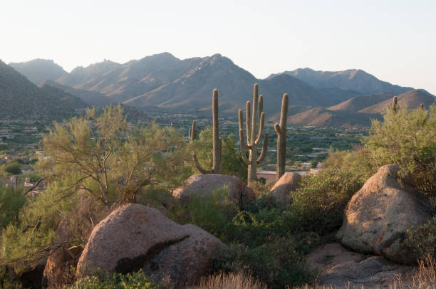 istock Pinnacle Peak Park as sun rises over cactus and hiking trails. 1009759594