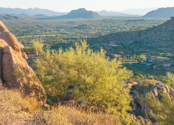 istock Pinnacle Peak Park as sun rises over cactus and hiking trails. 1009759606