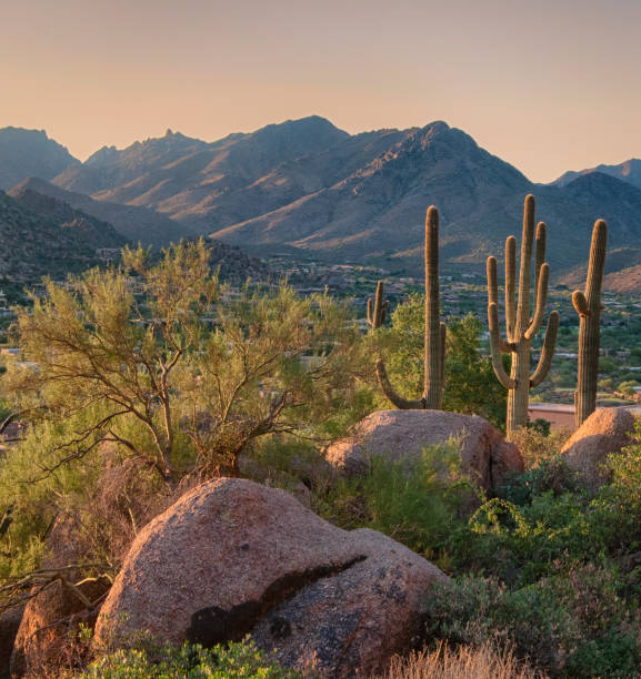 istock Pinnacle Peak Park as sun rises over cactus and hiking trails. 1009759608