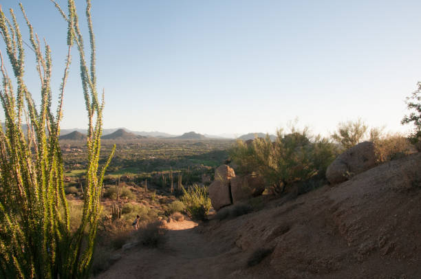 istock Pinnacle Peak Park as sun rises over cactus and hiking trails. 1009759620