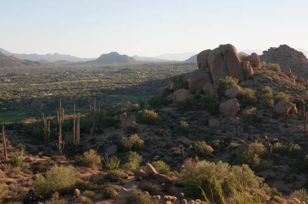 istock Pinnacle Peak Park as sun rises over cactus and hiking trails. 1009759628