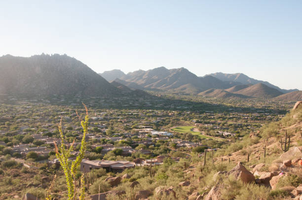istock Pinnacle Peak Park as sun rises over cactus and hiking trails. 1009759630