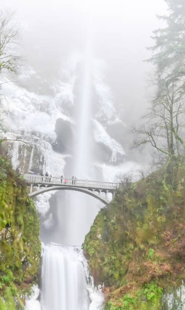 istock Icy Multnomah Falls Oregon in wintertime 1009764134